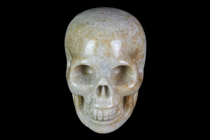 Realistic, Polished Fossil Coral Skull #116583